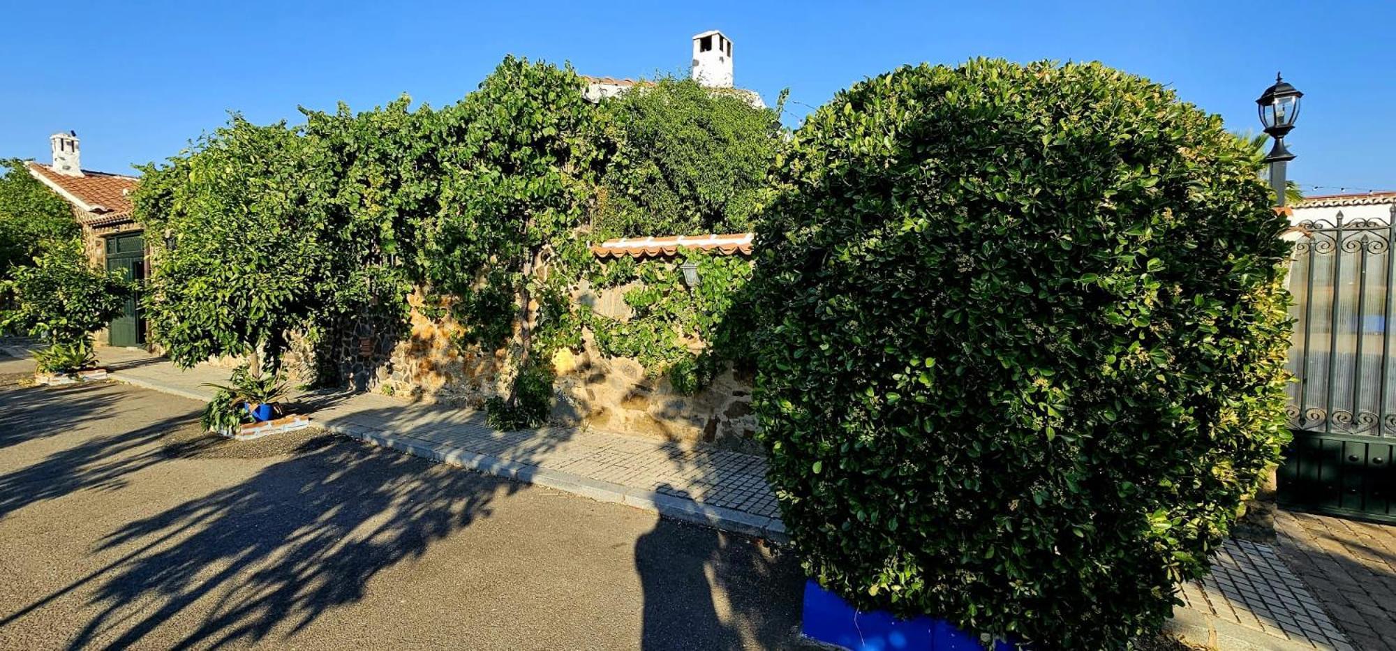 Complejo Turistico El Soldado. Apartment Villanueva del Duque Bagian luar foto